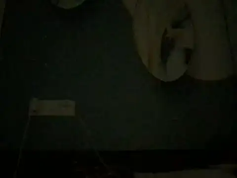 badboyrich Live XXX Chat