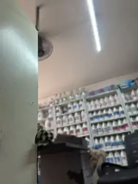 ISABELLA__LUNA élő XXX-chatje
