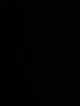 Show Webcam de tyd247
