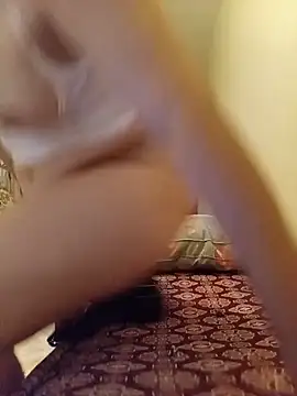 Chatroom XXX en direct de 3asaliyaa54