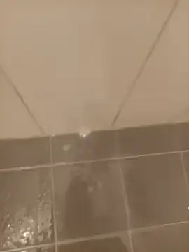 DenHaag31 现场XXX聊天