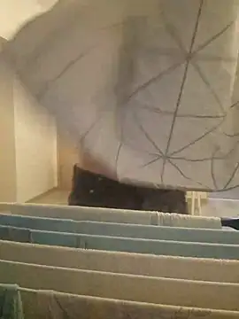 Mikemilflover Live XXX-chat
