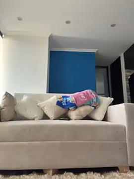 Chat +18 de violeta365 ao vivo