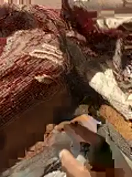 Pokazy przed kamerką – jimyx3