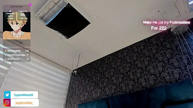 TaylerWhite Chat XXX live