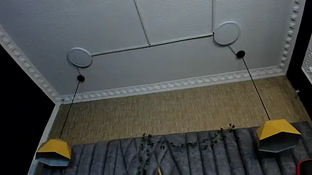 Boss_Domiinator 라이브 XXX 채팅
