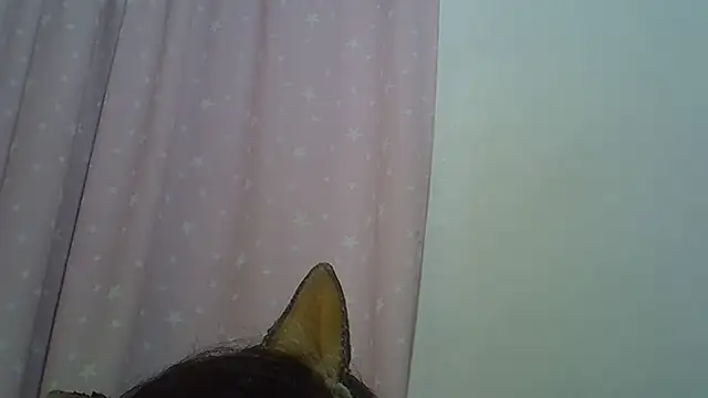 Show de webcam de SkinnyKitten