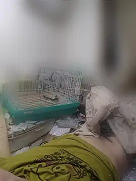 youheikunのウェブカメラショー