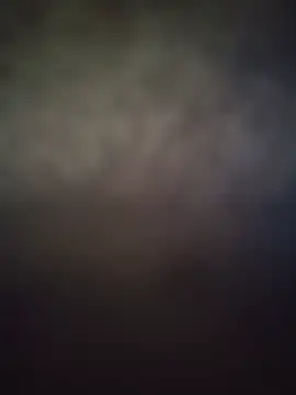 Boy_Mardのウェブカメラショー