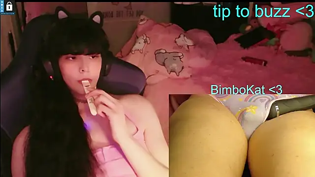 BimboCat – Live XXX-chat