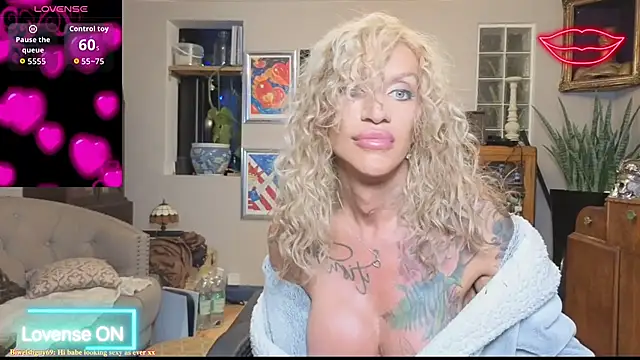 shytrans_ukn Webbikameraesitys