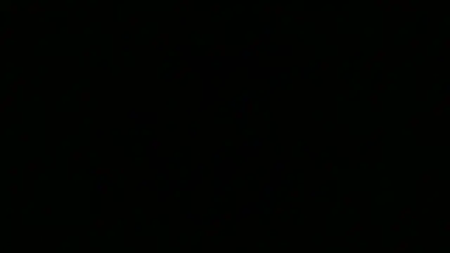 tuttodituttoo's Webcam Show