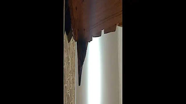 cumshotgod1 Chat XXX live