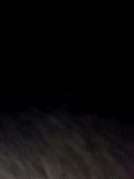 wadmma 网络视讯表演