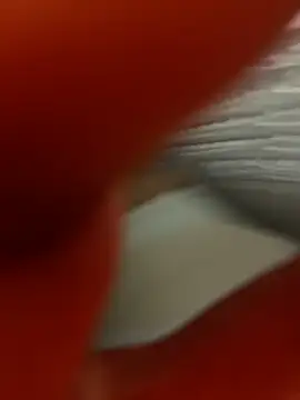 دردشة BigDick41510 الجنسية المباشرة