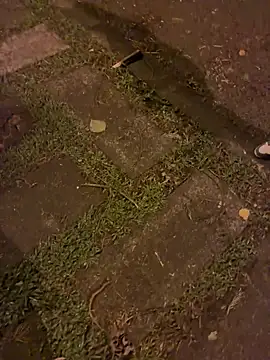 TonnyBottom élő XXX-chatje