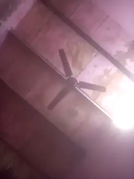 Živý XXX chat TINASONI