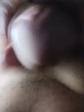 Calentico Live XXX-chat