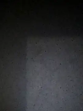 Leocesar37 Live XXX-chat