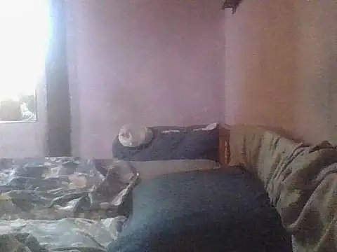 Онлайн чат XXX kikodaf1