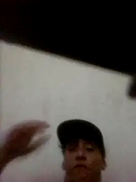 pajaroamBlen Webbikameraesitys