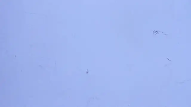 Živý XXX chat Pasion_Twinxss
