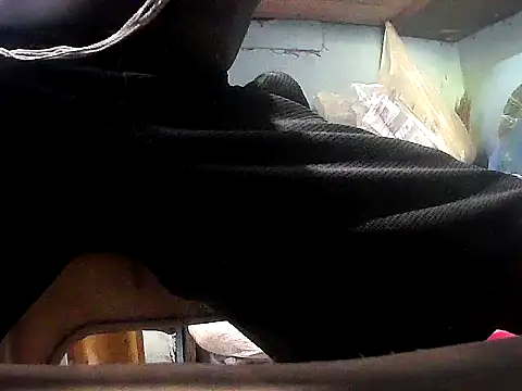 Show Webcam de Precumking1