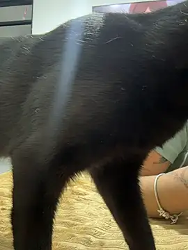 Živý XXX chat Moonbell_bell