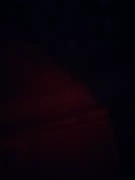 Elcaussのウェブカメラショー