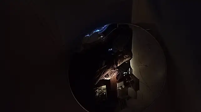 Kitrider élő XXX-chatje