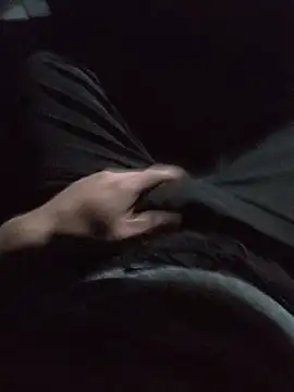VergonVip Webcam-Show