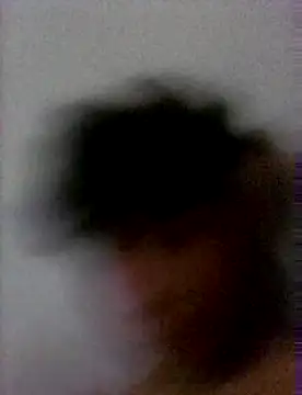 Show Webcam de pajaroamBle
