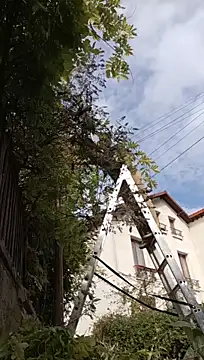 دردشة Vyda4 الجنسية المباشرة