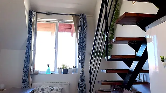Živý XXX chat RyanStorm_
