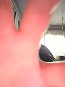 Show webcam de Havannabroklen2