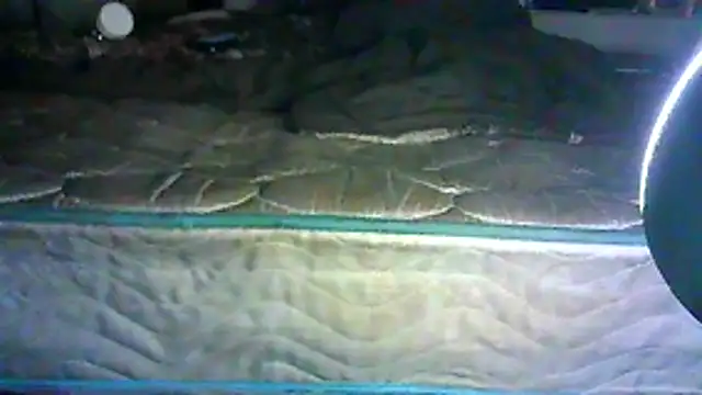 SINC3R3LY_FIR3n Live XXX chat