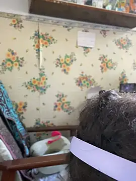 Živý XXX chat badfox5000