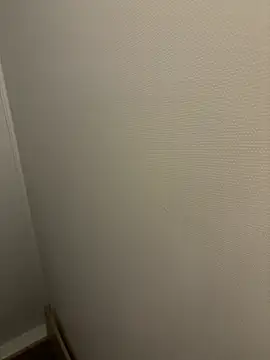 dvoi 웹캠 쇼