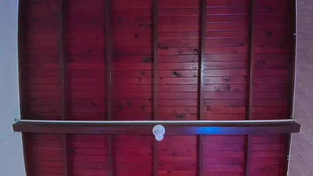 Živý XXX chat Megan_charles_