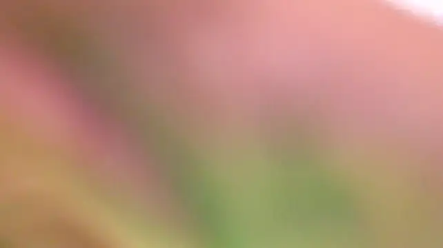 Онлайн чат XXX Jimmy_Doss