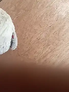 stepsister_fuck Pertunjukan Webcam