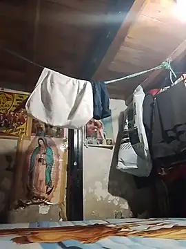 הופעת וובקאם של RAJV_