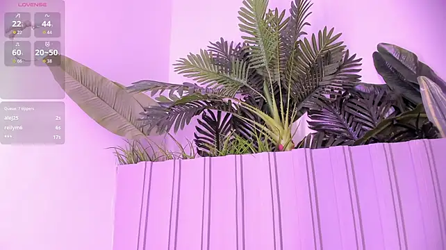 stephanymonroe 라이브 XXX 채팅
