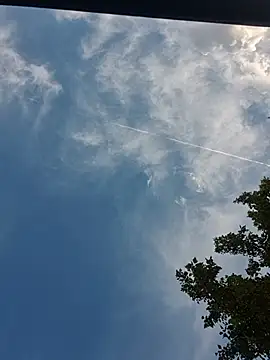 Živý XXX chat daddy_bigdick40