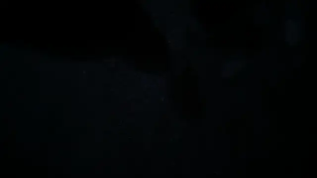 yale802004n Webbikameraesitys