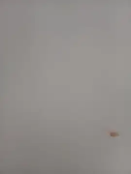 katialatimaecha 라이브 XXX 채팅