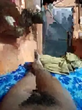 Vibemaster Webcamshow