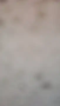 Chat +18 de MamaB88 ao vivo