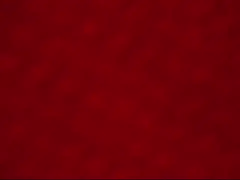 Chat XXX ao vivo de Little_ebonyx