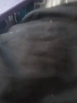 deedeedoll82222's Live XXX Chat